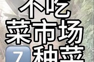 泰山球迷会会长：新援泽卡在海口集训时韧带损伤，愿早日康复